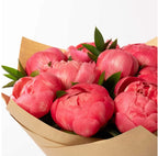 Peony Bundle-OP122025